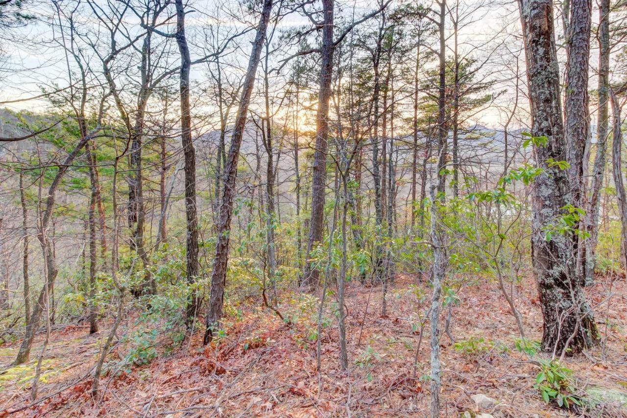 Misty View Cabin Hatchertown Exterior photo